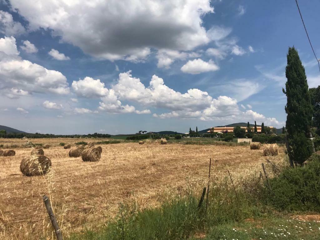 Agriturismo Colle D' Oro Pescia Romana Bagian luar foto